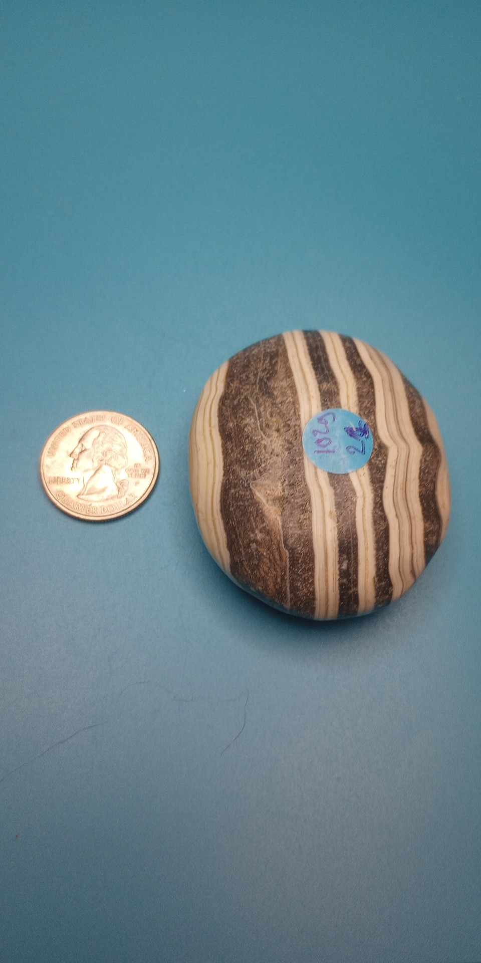 Zebra Calcite Palmstone