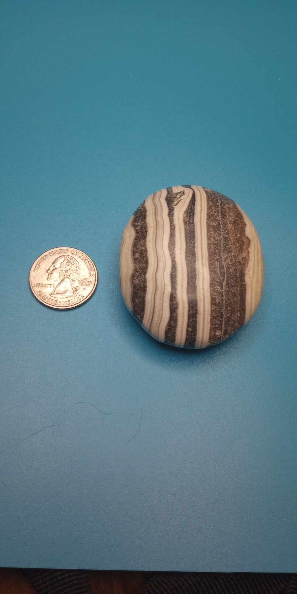 Zebra Calcite Palmstone