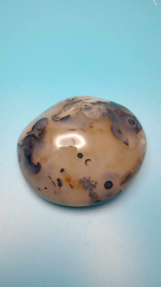 Dendric Agate Palmstone