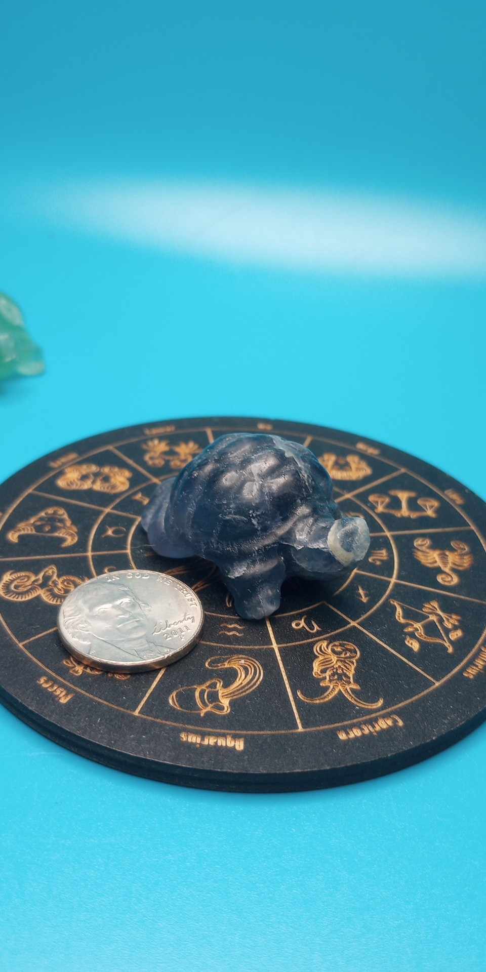 Fluorite turtles