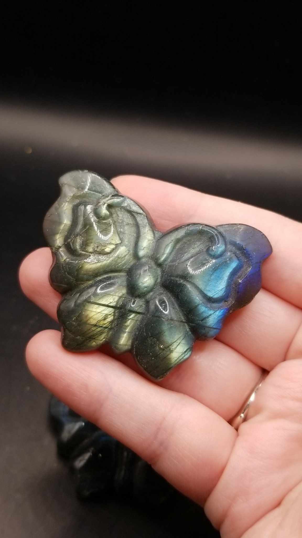Labradorite Butterfly Carvings